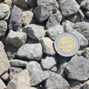 19mm Concrete Stone