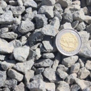 13.2mm Concrete Stone
